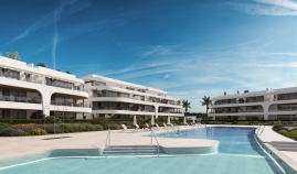 291446.jpg