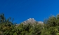 5-3595ad71cbd87be6c3643a4285ef4791.jpg