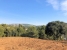 1-7980e48d732b6fc85c14b43b94d2aa54.jpg