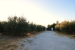 20-d1f7658cbe4ba6cd8666fec30fba80ad.jpg