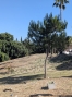 20-d1f7658cbe4ba6cd8666fec30fba80ad.jpg