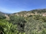 4-c23c0f86247804fa50226aecd8b0b2c8.jpg